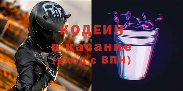 дурь Няндома