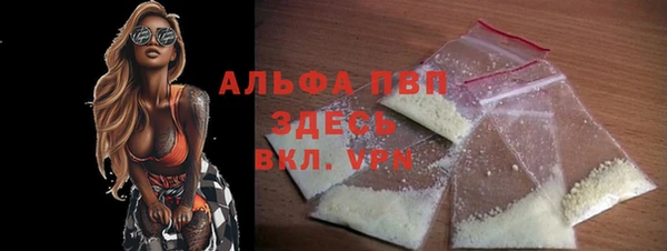 дурь Няндома