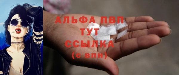 прущие грибы Нягань