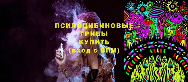 дурь Няндома