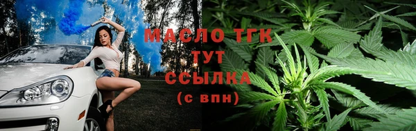 дурь Няндома