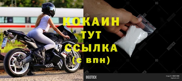 прущие грибы Нягань