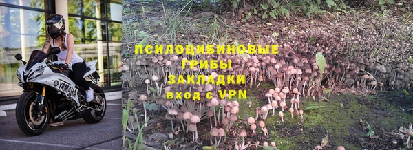 прущая мука Осинники