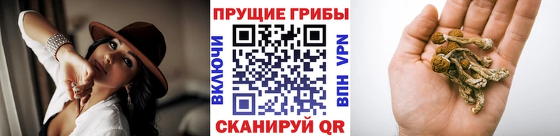 omg зеркало  Харовск  Псилоцибиновые грибы MAGIC MUSHROOMS 